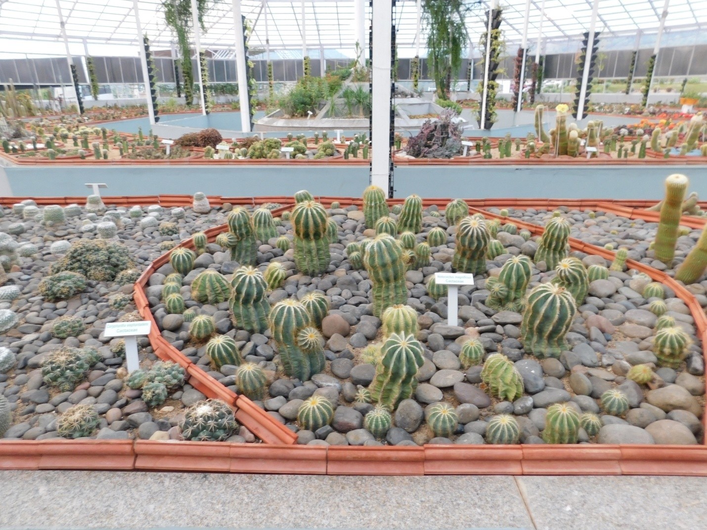 Cactus Park Display