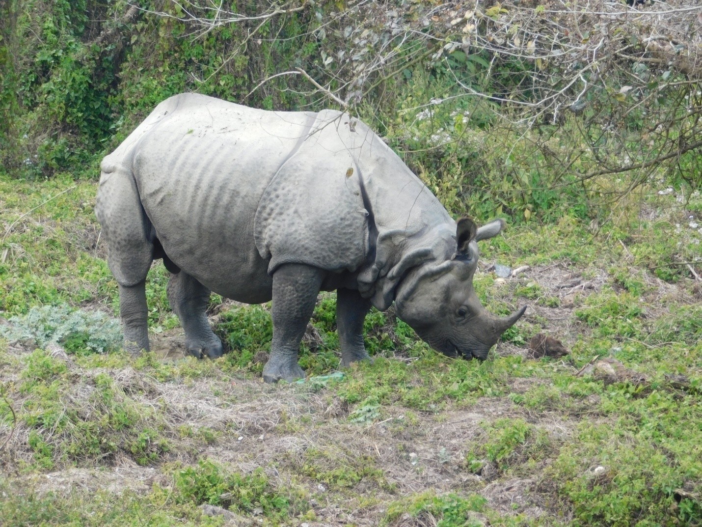 Chitwan National Park