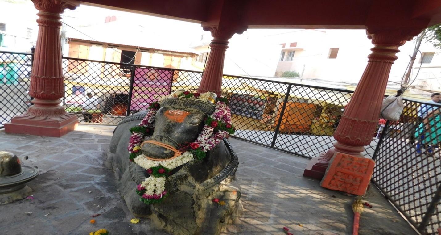 Nandi at Temple