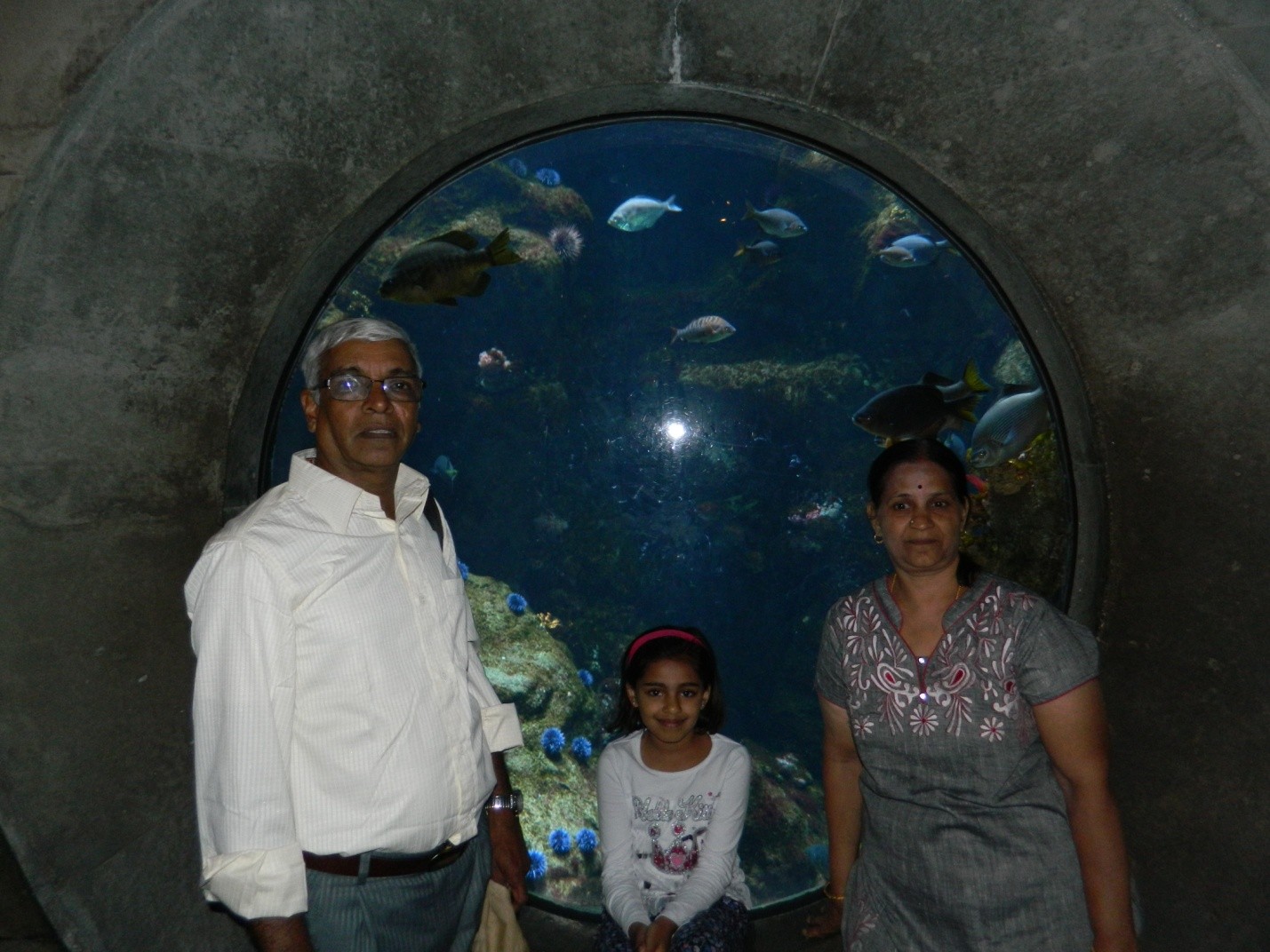 California Academy of Sciences rainforest