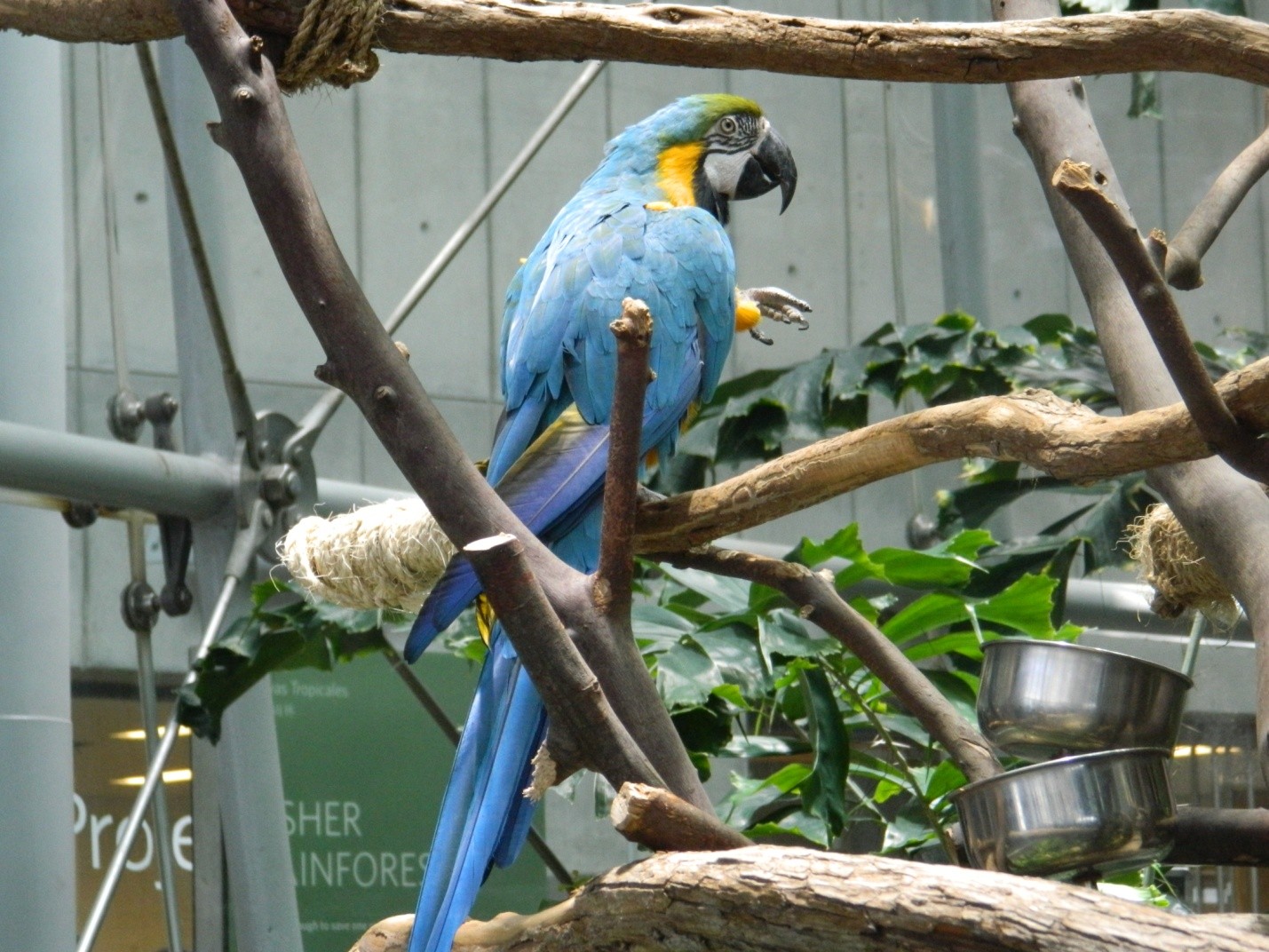 California Academy earthquake simulator