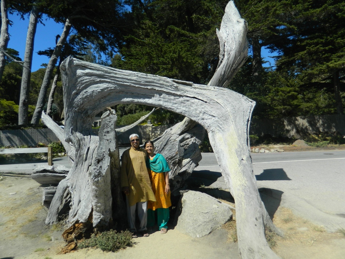 Lone Cypress Pebble Beach
