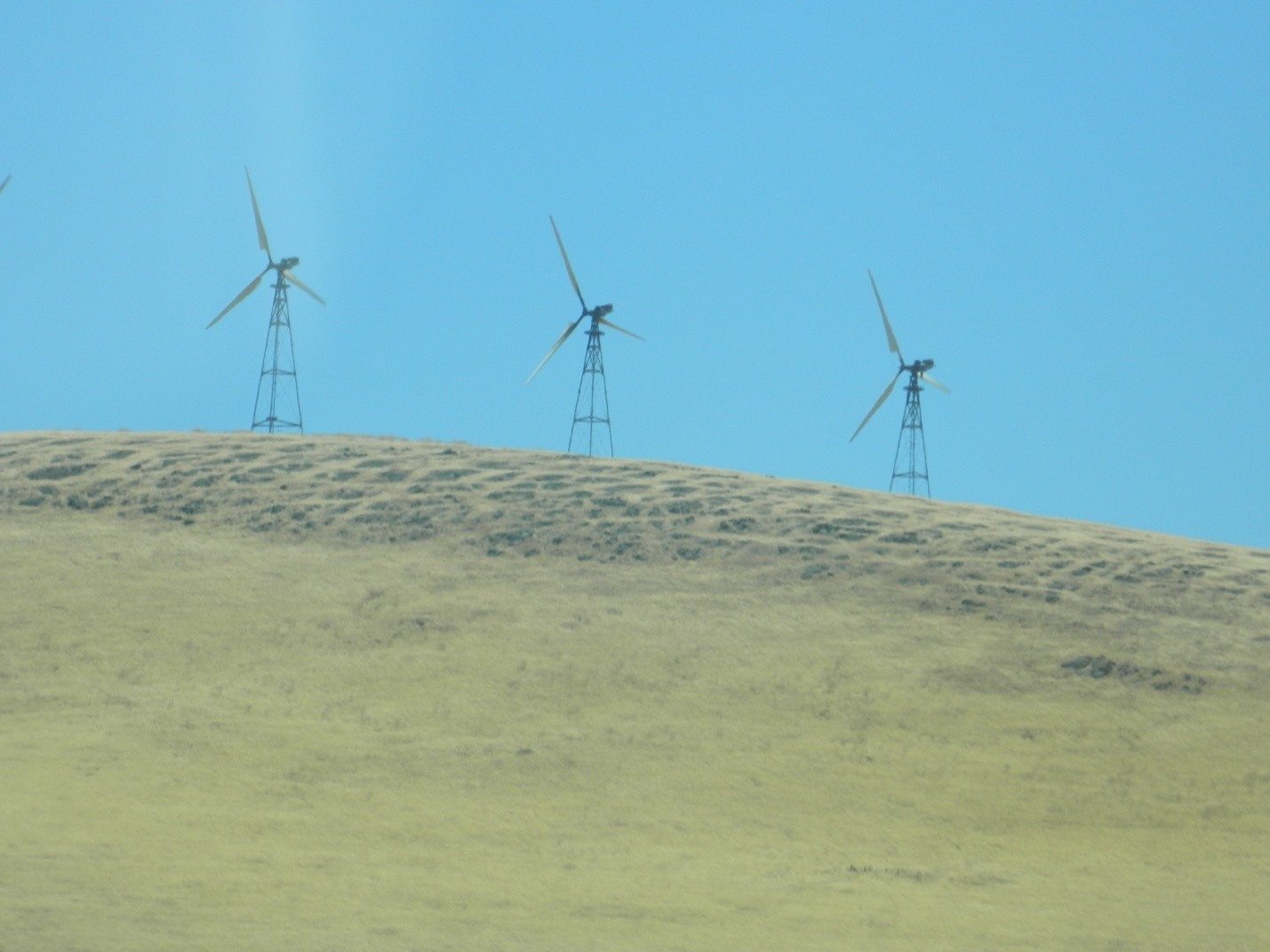 Nectar and peach picking Tachella Farms