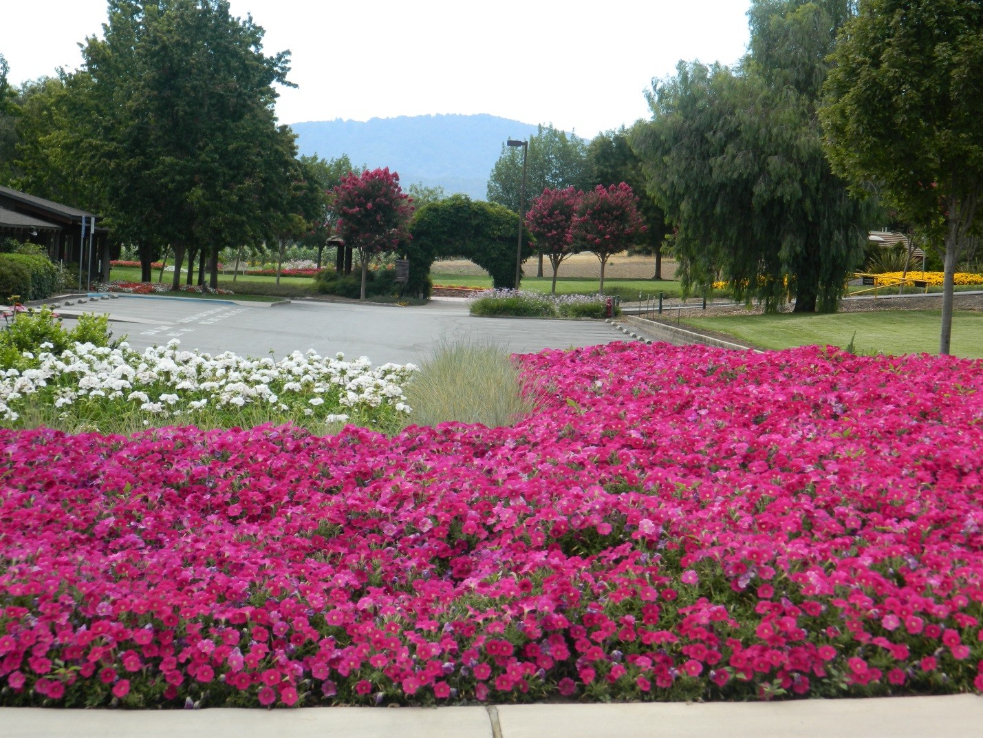 Kim Son Monastery nursery